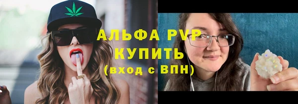 apvp Арсеньев