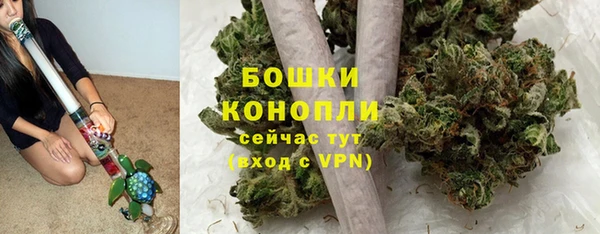 apvp Арсеньев